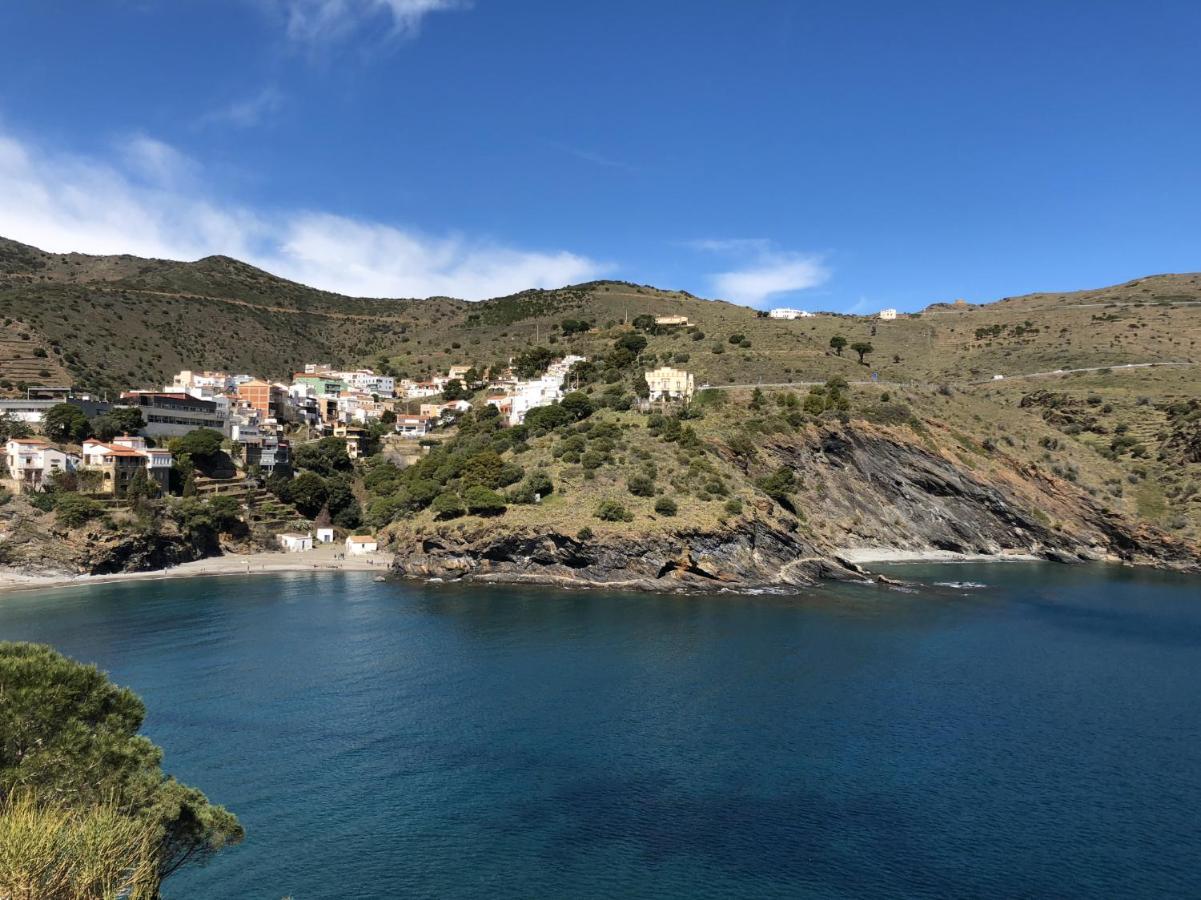 Apartment Piso En La Costa Brava Y Al Inicio Del Pirineo Portbou